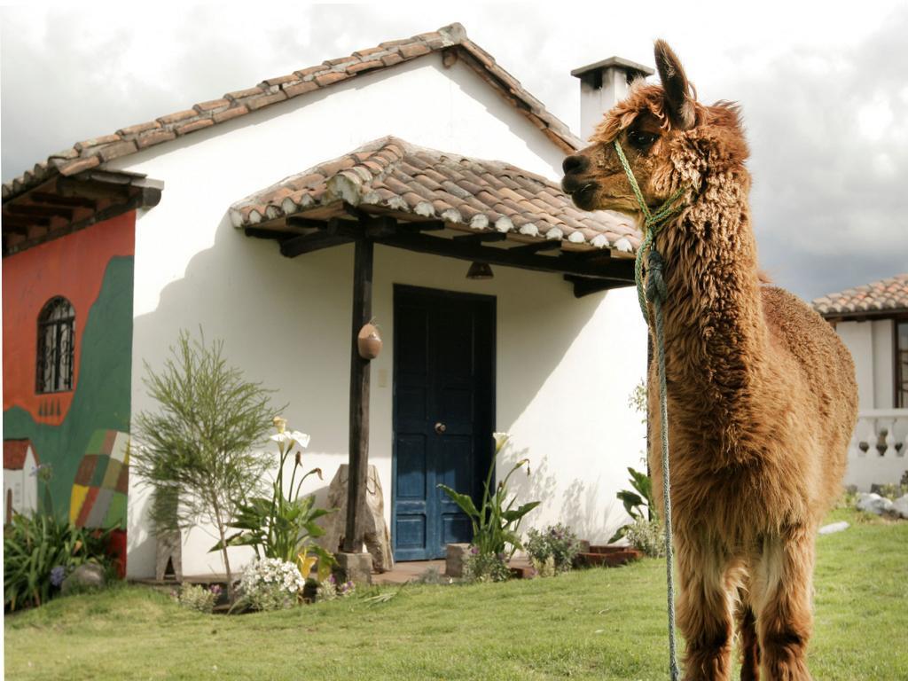 La Quinta Colorada Hotel Lasso Exterior foto