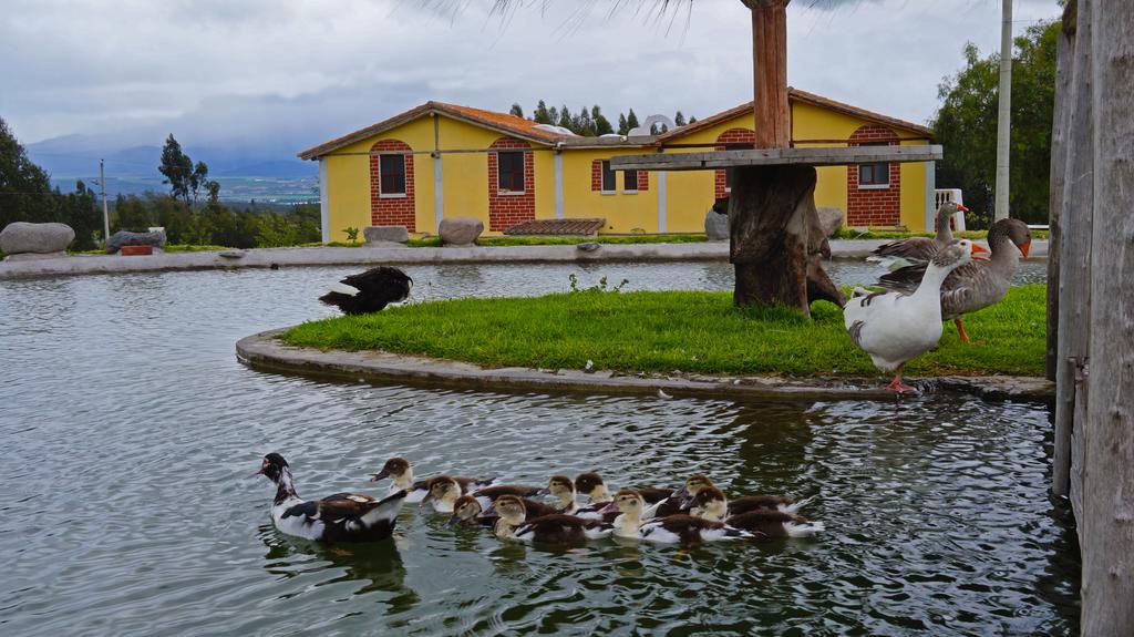 La Quinta Colorada Hotel Lasso Exterior foto